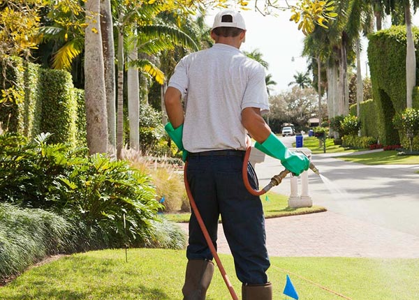 About Loma MT Pest Control